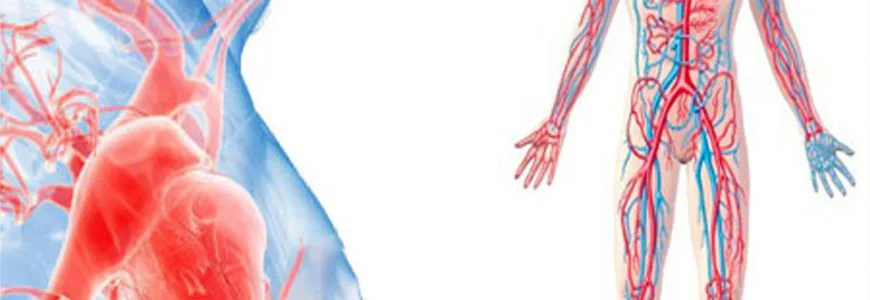 Nuovi Servizi: Chirurgia Vascolare e Generale