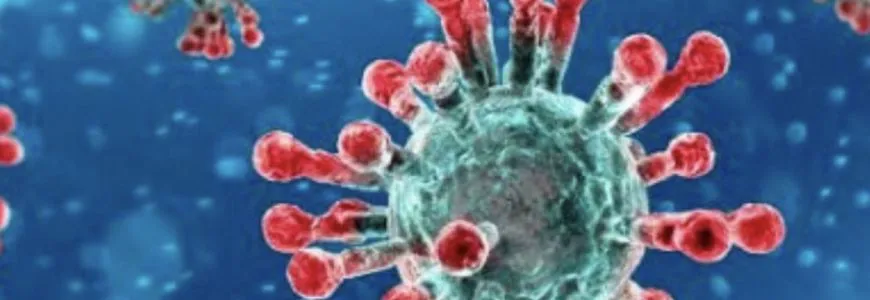 L’Ozonoterapia contro i Virus