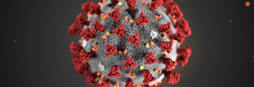 Ozono Terapia SIOOT contro i virus