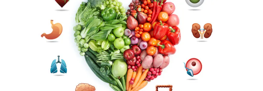 MD Clinic: Sistema Immunitario, Alimentazione e Stile di Vita